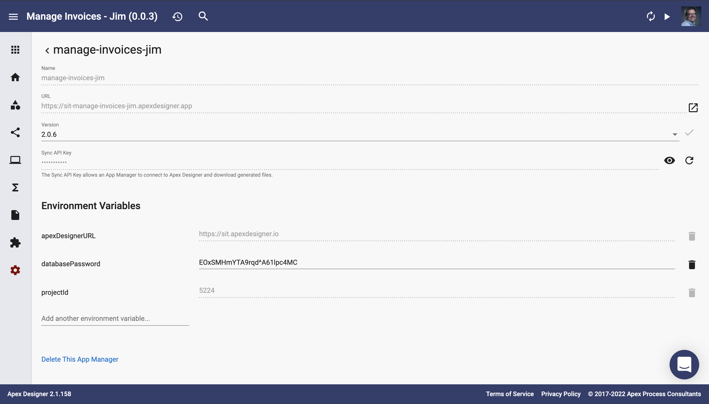 App manager environment variable definition page