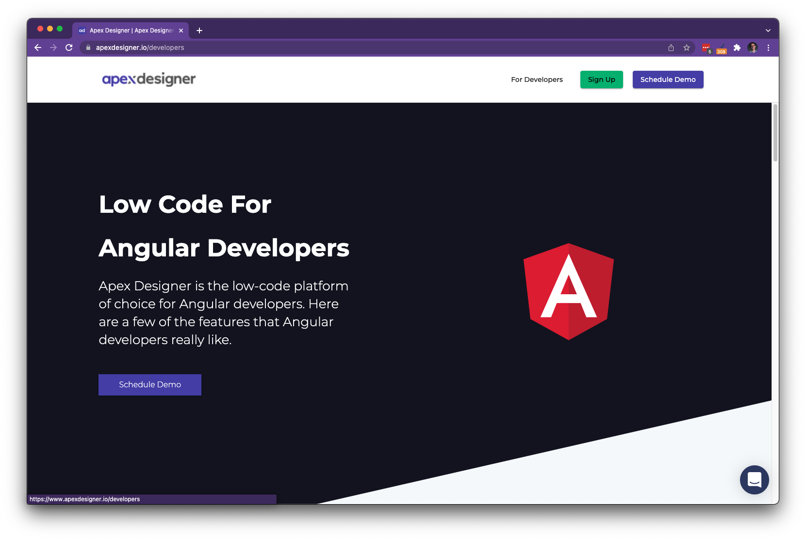 Apex Designer Website - Angular developers page